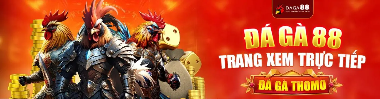 Hình ảnh đại diện cho chính sách cookie và bảo mật dữ liệu của mm999 casino